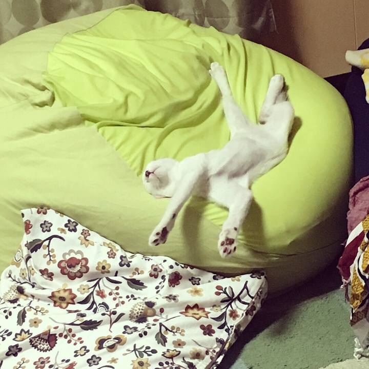 C144e1f1 99fe 4e7c 9d6d 67d70ca4a833 1535074779277