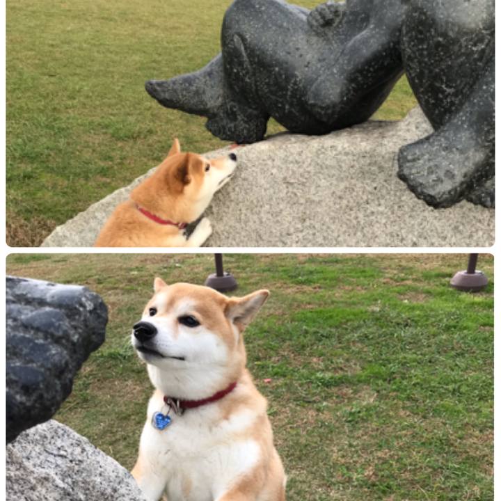 C14510aa a121 48ea 992b 127103c0d60a 1541319786960