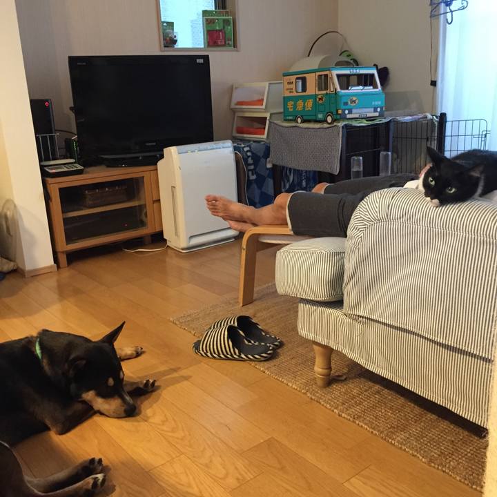 C1452443 a1a7 41af a015 fbe4235835a7 1535534819319