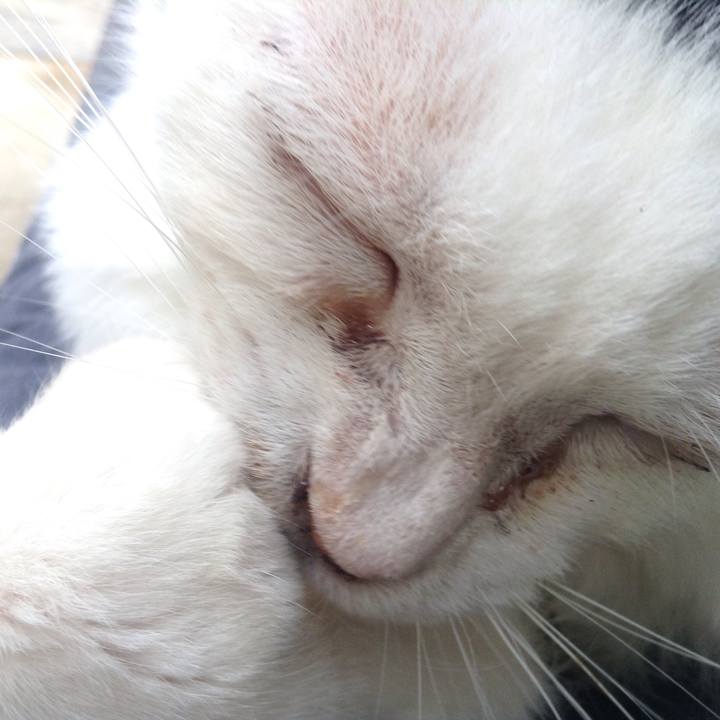 C14573db 7c9a 46e6 8d55 cec175e596fb 1559468362665