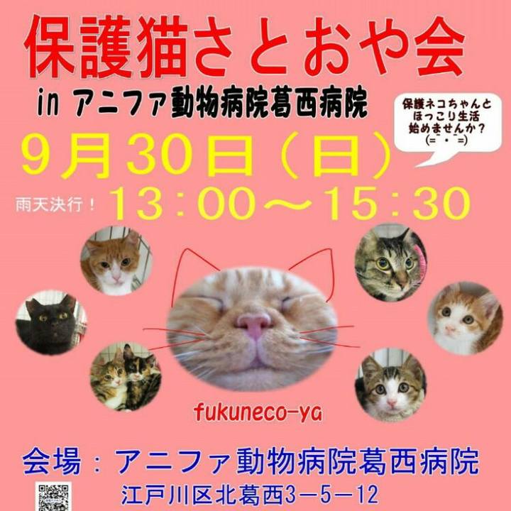 C1459f0b 5387 4766 a74d b95220af559b 1538199760430