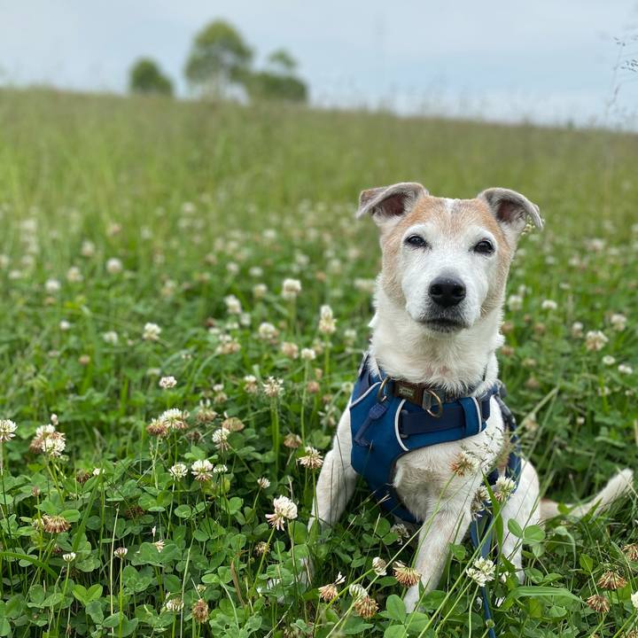 C145cc3d 8efb 415a b20f 0a10e0fa8427 1653119945950