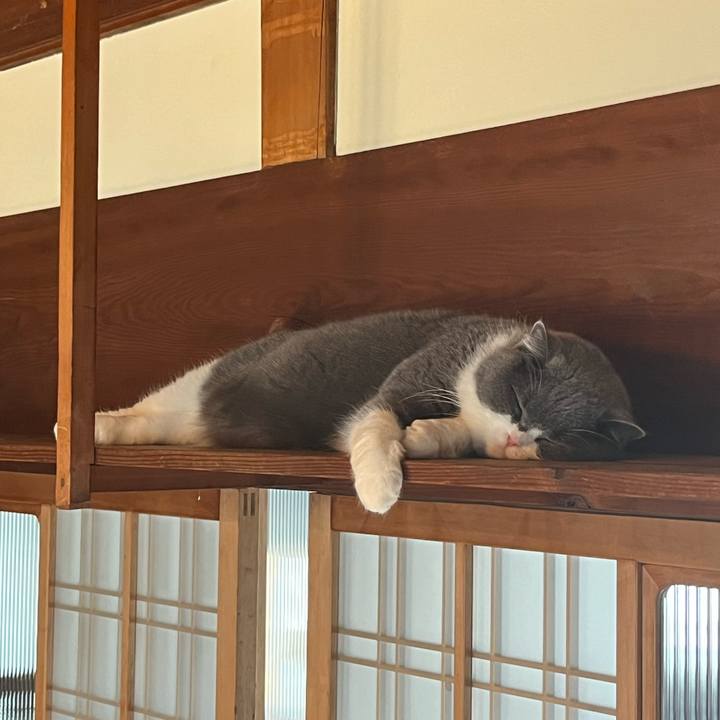 C145db0d 7dbf 4724 a56e e02e4ddcec3a 1710158237255