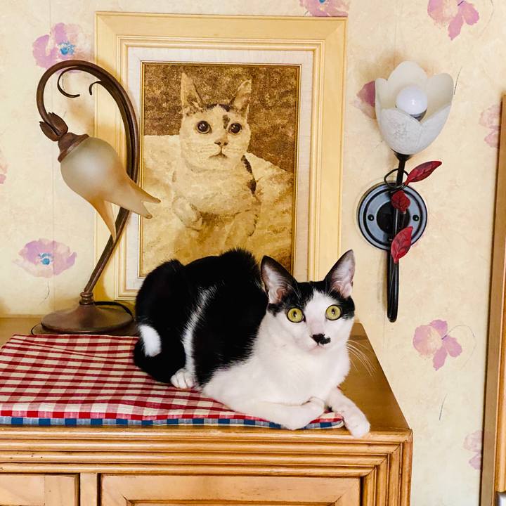 C145e934 d2b2 4e5d 8ff5 cc218b4615c3 1584578022538