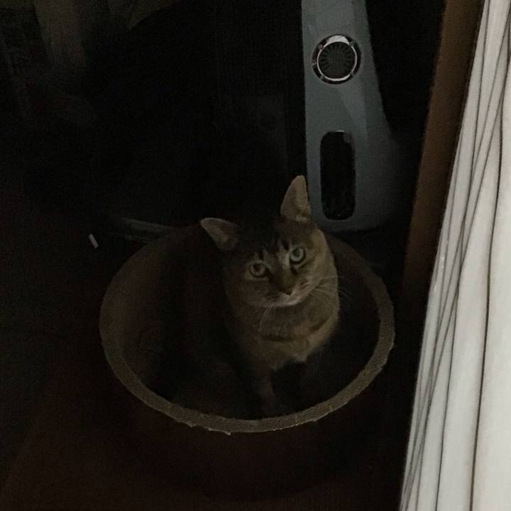 C145ecff f43b 4895 a924 bdd73fbfe44f 1738921286890