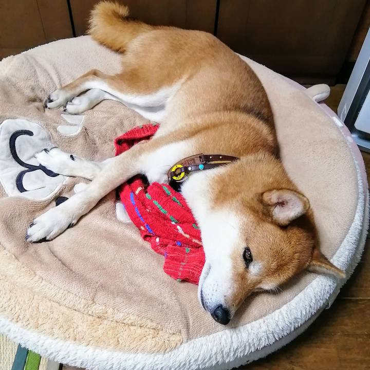 C145f3c7 adcd 486b 9f17 7a6fde434cf1 1630641709011