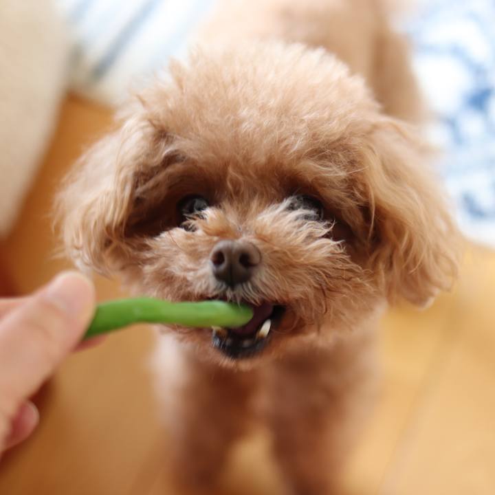 C145f7e6 b915 4b20 bb19 0062238728c0 1564206404269