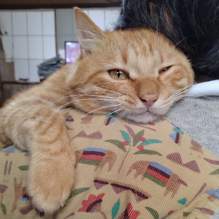 C1464842 107f 4a06 b258 4117adf3c0fc 1666484858342