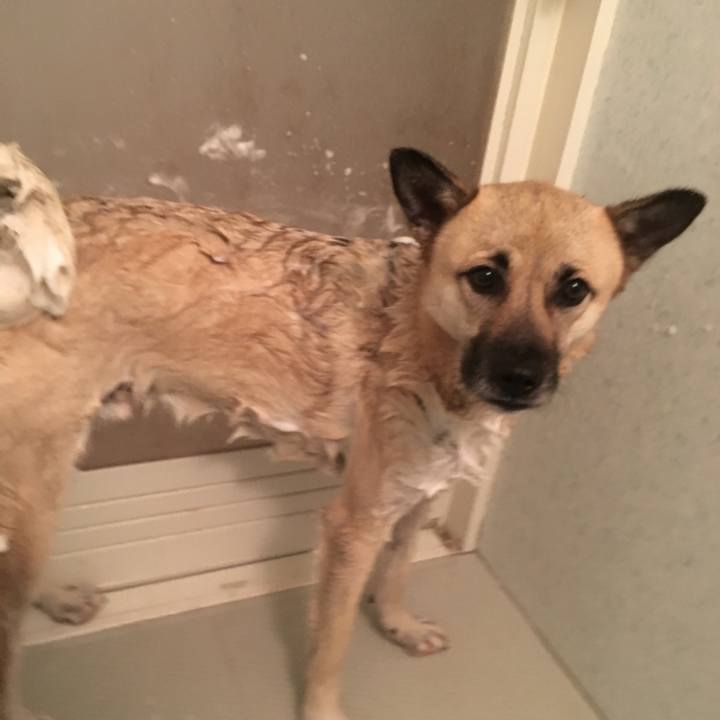 C1468afa e64f 4178 8c3b e68af5a159bf 1514626757161