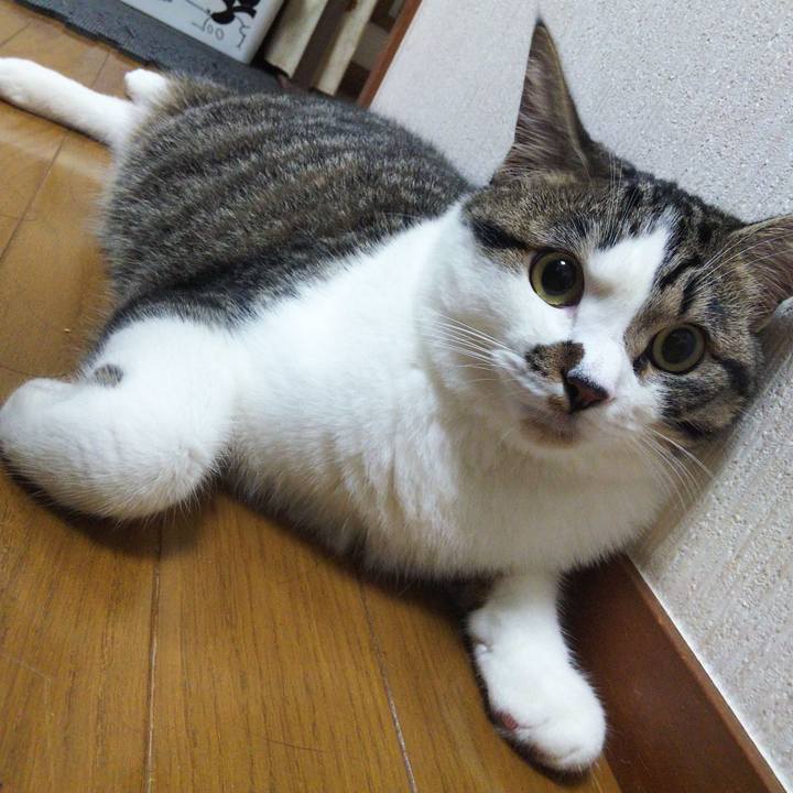 C146a59e 4112 4e59 947d 14be4c0a8f29 1625740716209