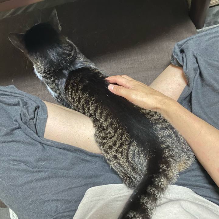 C146bc19 321b 48d3 ad3c 9e535562364f 1686952446253