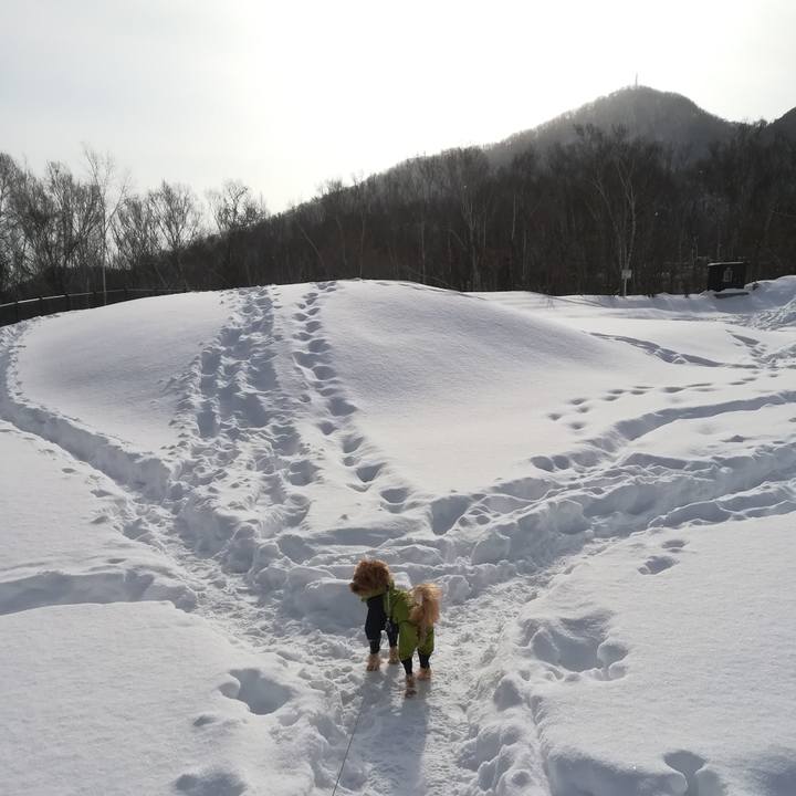 C146cf1e 254a 4332 a2c3 12dd31fb2054 1548563821895