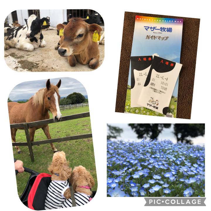 C146dabe 5145 4dc3 8eb7 1407e6581cdd 1651995801735