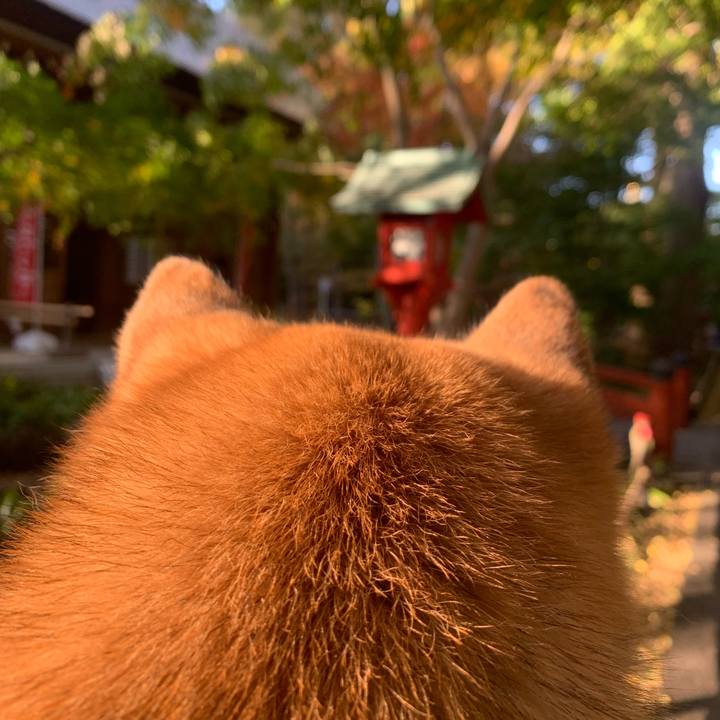 C146df82 b0dd 43a6 bf1d df40a70445b6 1763362715049