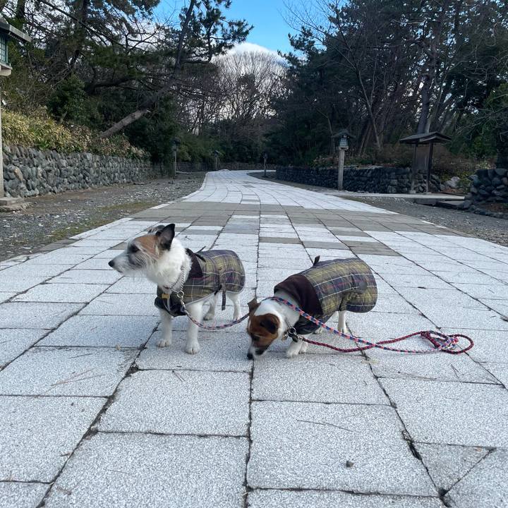 C146e903 fd02 4eff 8703 9e007cc76227 1771457607340