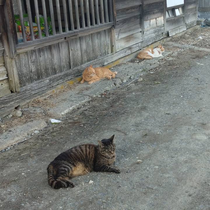 C146f6cb ccc8 4070 a72f 24d540889eb2 1750153819885