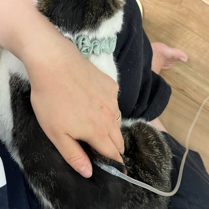 C1471a0b ddfe 4759 8399 5c10eb69054c 1765622809046