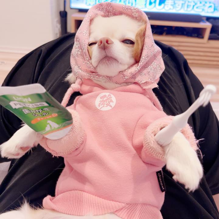 C1479b1c 1c3a 481c 827e 094b97071903 1697976147183