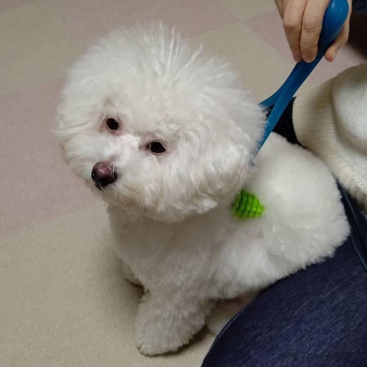 C147bc6c c574 4fc3 bfc6 d2c913080b55 1572781965757