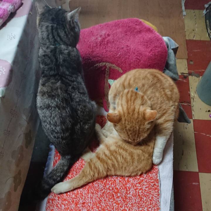 C147f569 b88a 4d12 90d5 e794d4f84a3d 1555537591555