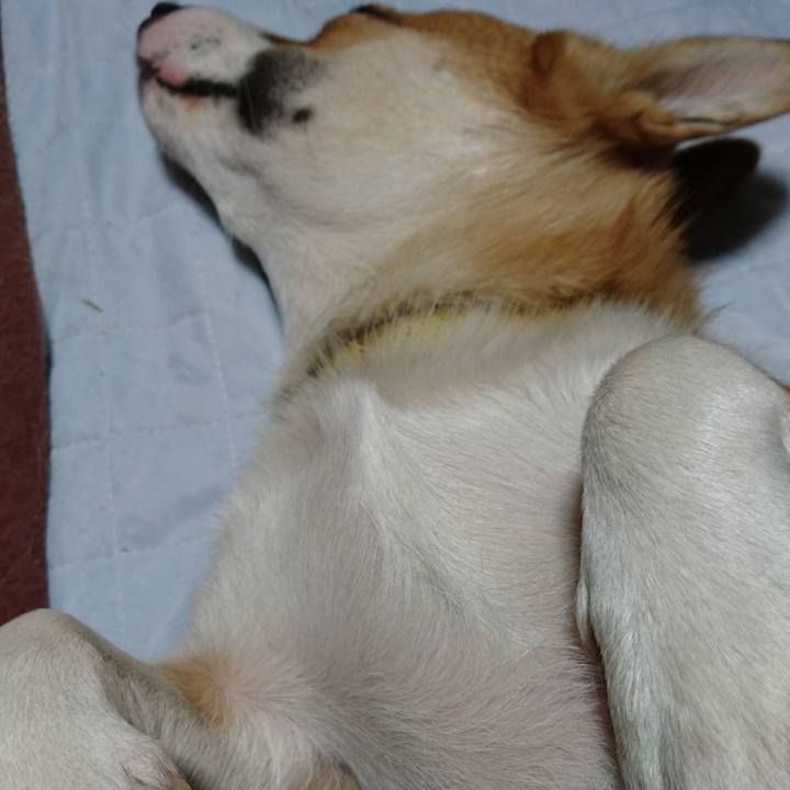 C1482a87 1418 4881 9272 82ff807045ed 1573807401074