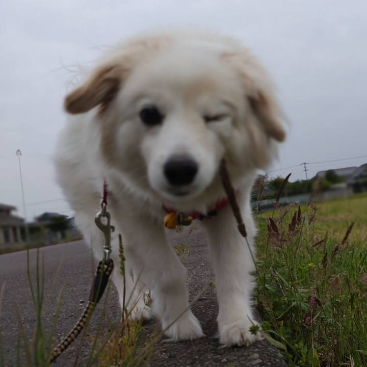 C148b6c7 c1cf 43bb 89ee 5e0b7fd622e7 1650705914675