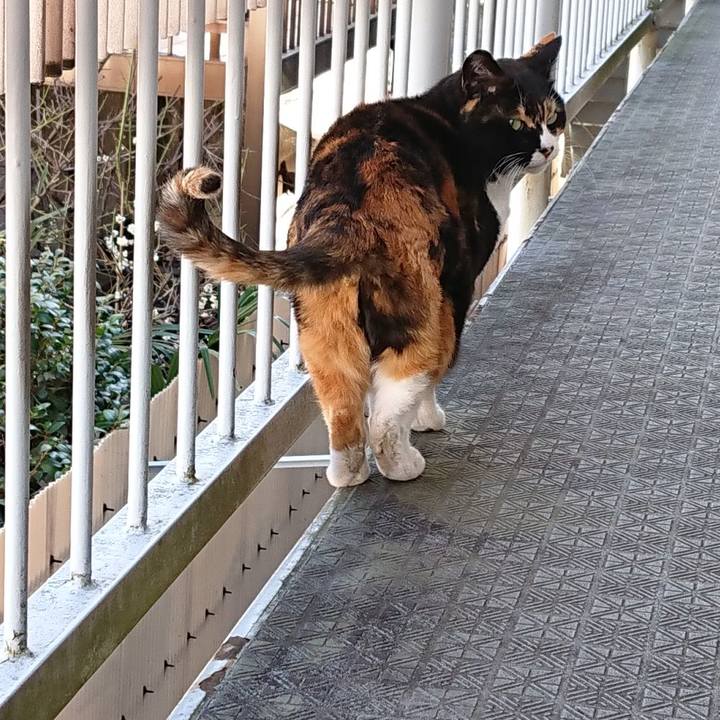 C148be58 db97 4b61 9963 22c222eb3303 1614472836885