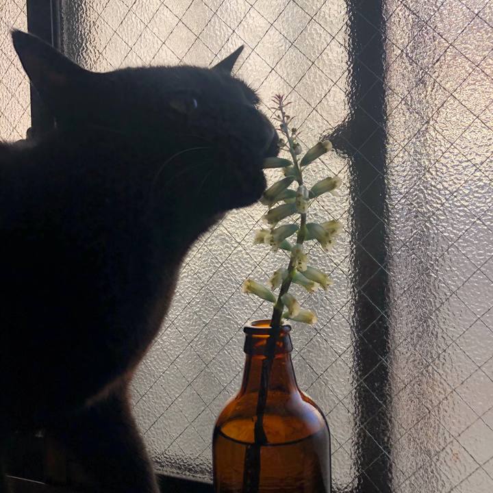 C148dae6 f4a5 4e5a 94ad 161865dcc461 1581032484090