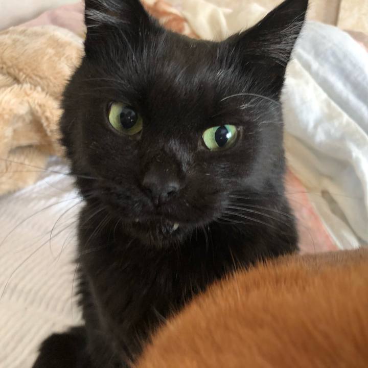 C148f7ad 5800 4699 8abf 12beced5a974 1642292966177