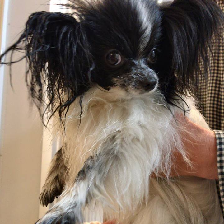 C1490bdc 37e6 4eba b554 6ef28aa4ff76 1525875115188