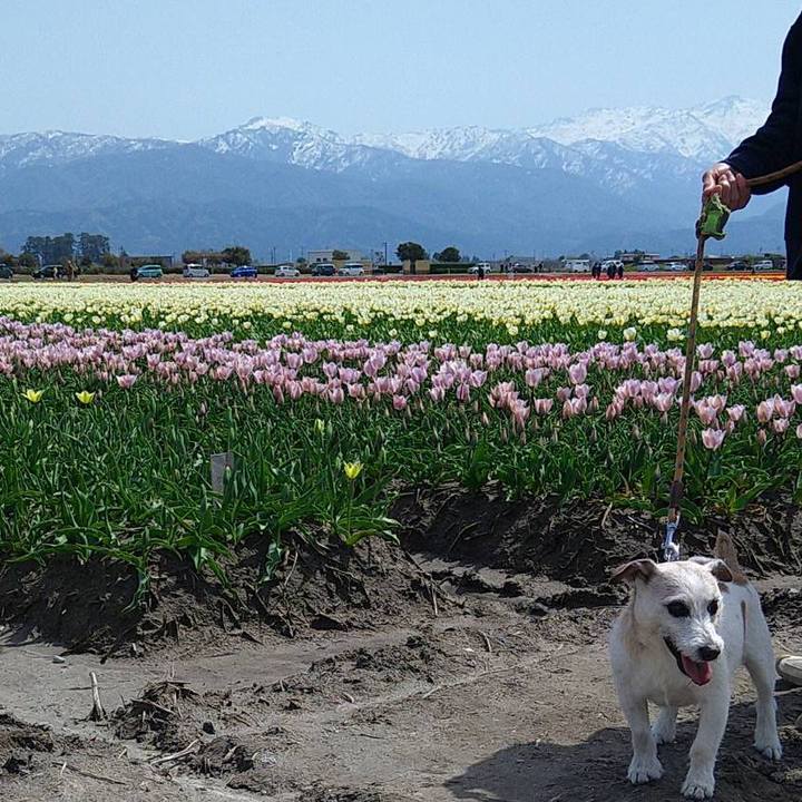 C14914eb 6339 4a2b 9604 8e23ee7aa04a 1681455756426