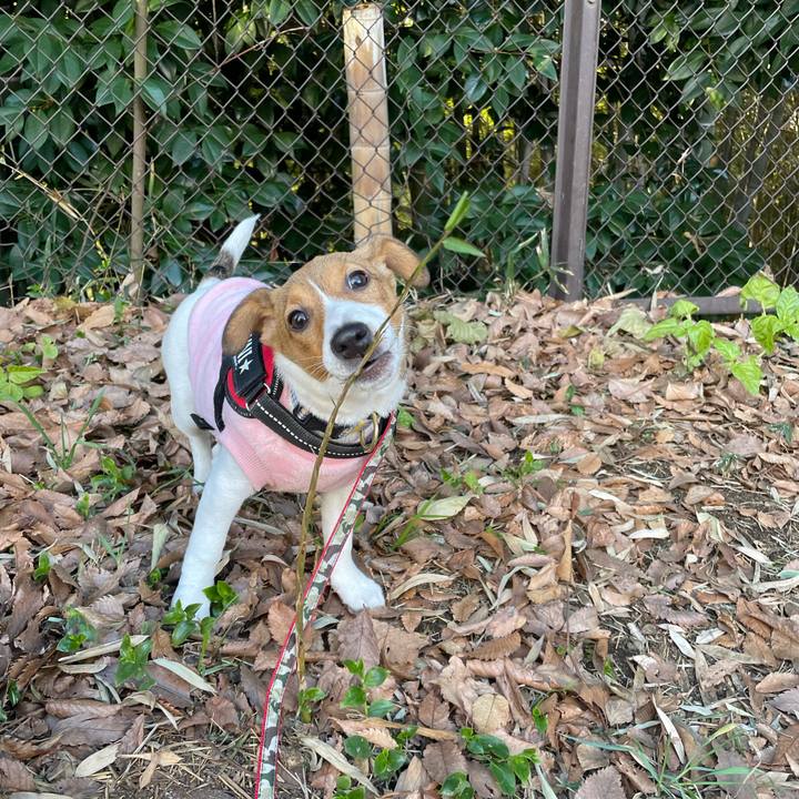 C1492052 e261 4a8a adf0 de07d88127da 1672482876420