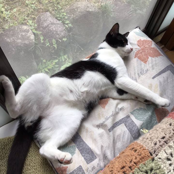 C14960b6 7f47 4130 a89c 1cb508745577 1633163494799