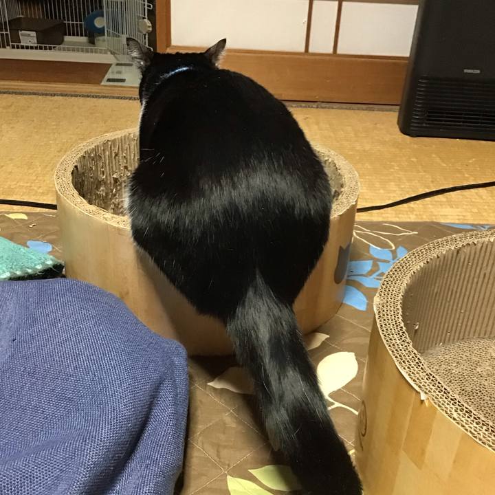 C1499c4b 6316 45b9 9f9c 0243a8290bab 1742299836769