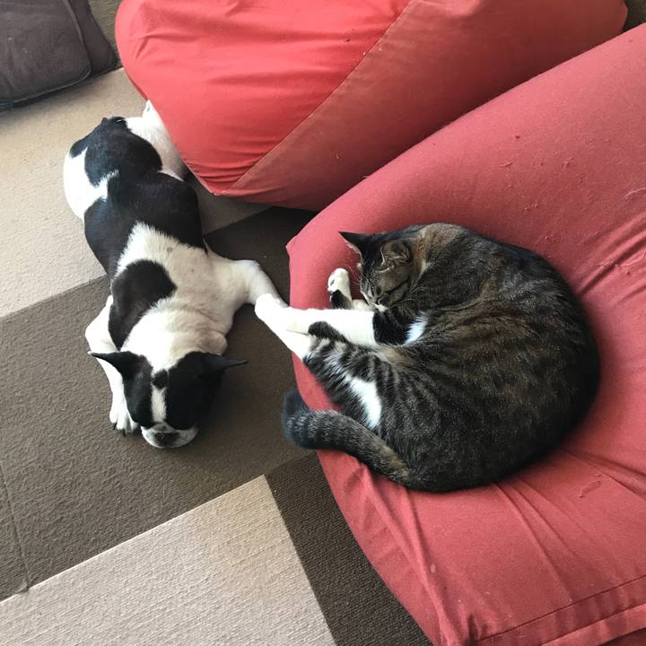 C149d2ab a9ee 4f4a 960b 60bf6e52b3e9 1515040581169