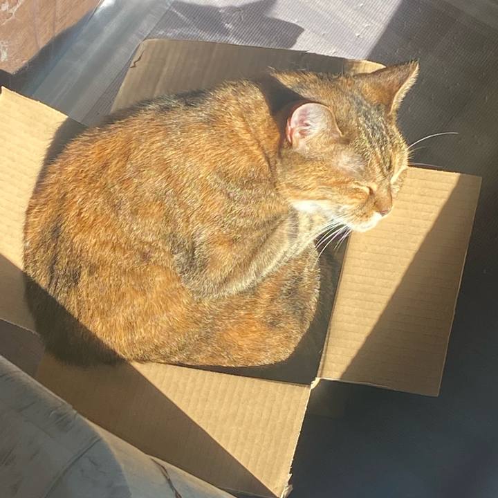 C14a1bda 2298 433c ae7a b85460173d48 1637722161944