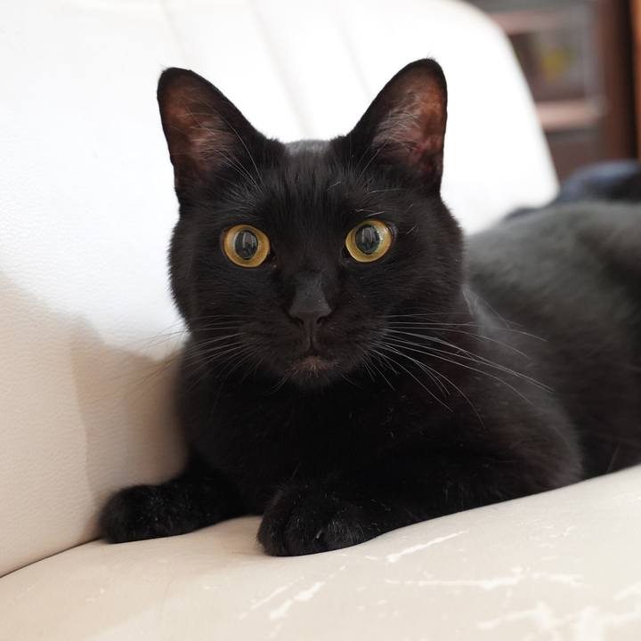 C14a2a4c 25f2 4a23 8905 1ff91dfe7469 1698758865557