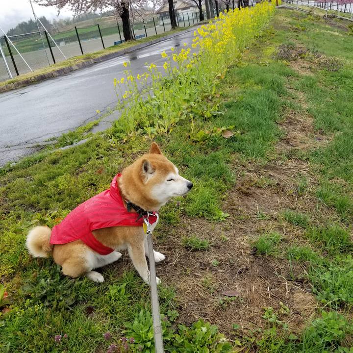 C14a60d2 6556 4cab aaca daafb67ce1ae 1618637411366