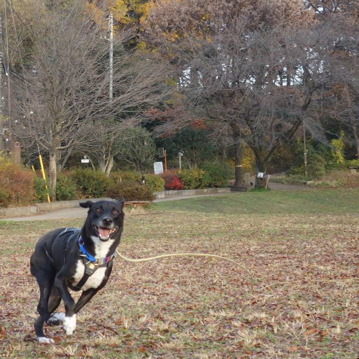 C14a6c73 946d 49cd b7a6 658fc5bd32a7 1639270548149