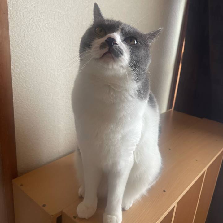 C14a6cb9 fa5d 4008 8c34 487689daae2d 1690686416040