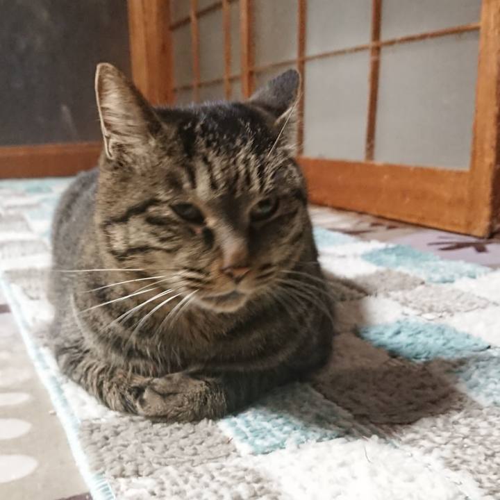 C14ab67e ed8d 4c55 aef1 f272b76cbfc2 1639917000946