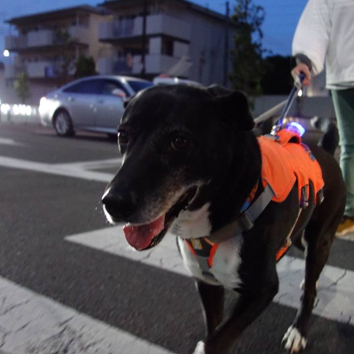 C14ac6a9 48cb 476d 9fa2 31dc0dbf6673 1746097373356