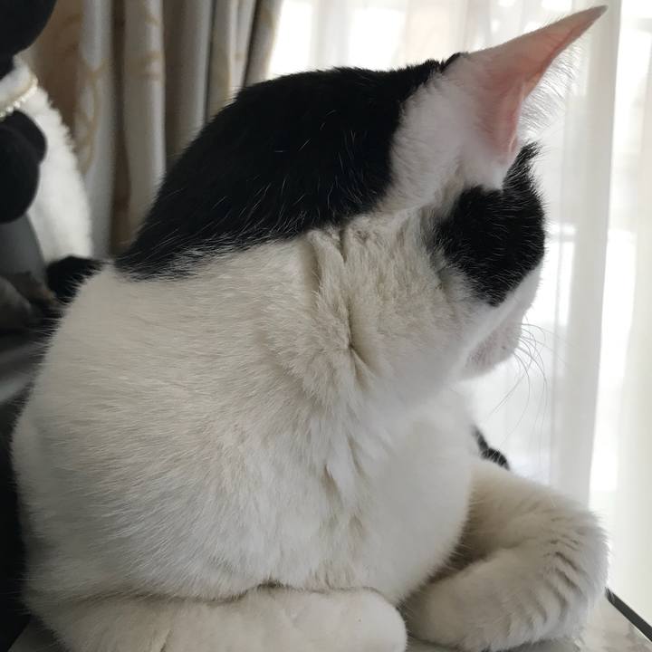 C14b04f7 3999 461e a8fb ea130062fca1 1521426974077