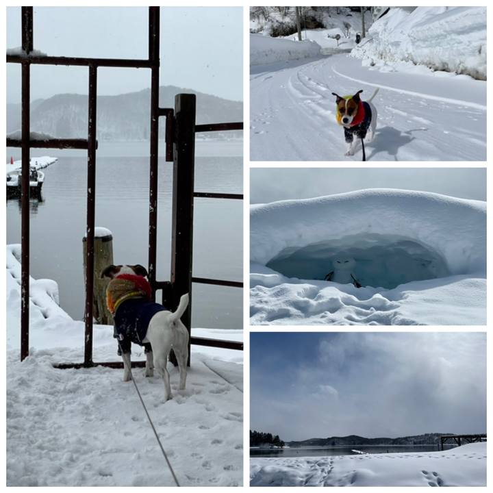 C14b7103 57cc 42c6 a874 a1bbbfac546c 1645094667898