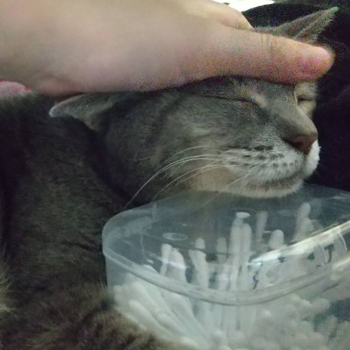 C14b8123 3d13 4a2e 9627 93f68e0c7822 1629996412808