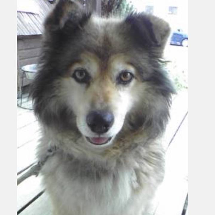 C14b9342 cf0b 4dd0 8468 8cd5b5648c4d 1644360978426