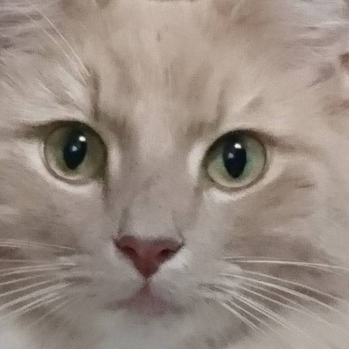 C14baab1 65f7 4c25 870e 51212ca1b536 1508554179059