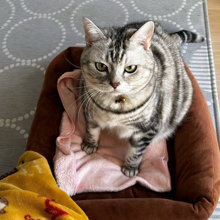 C14c5c1d b1e4 46eb 88af 4083f2503404 1764894089574