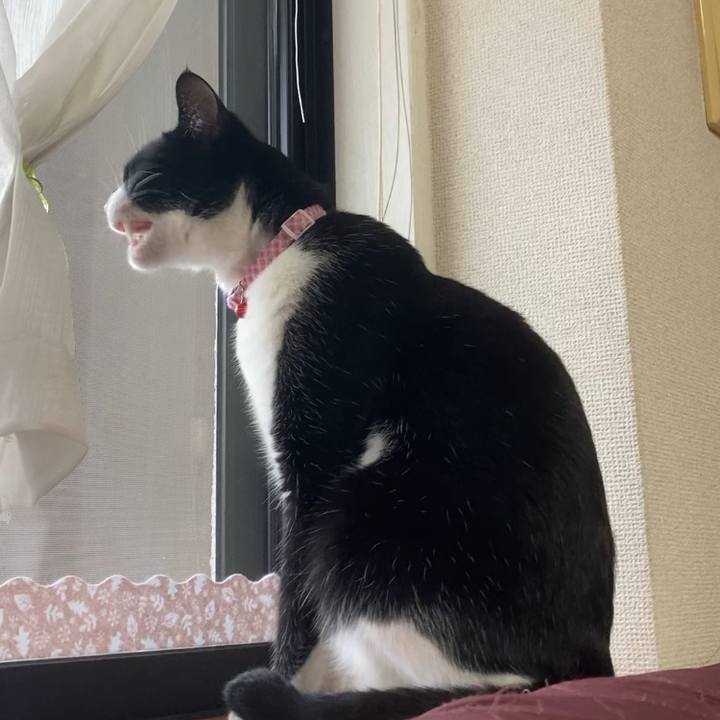 C14c600c 9b6b 410d becc 0227becec89e 1625203128366