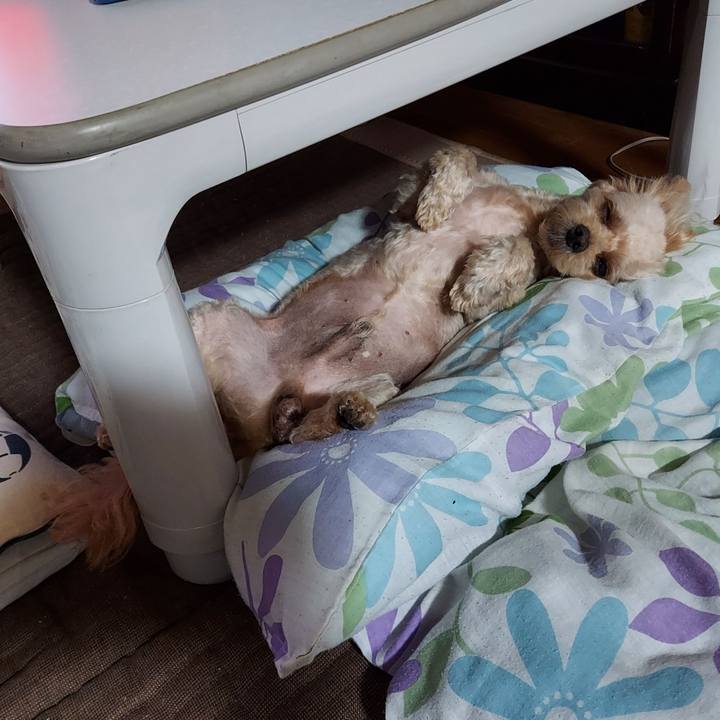 C14c712b d281 40b4 95f3 0e988dd20ee3 1630474488022